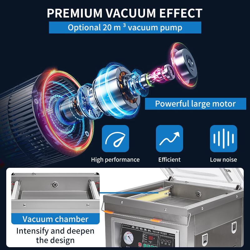 Dz-400 Professional  Desktop V - Meal Prep Vacuum Sealer ulasan dan harga