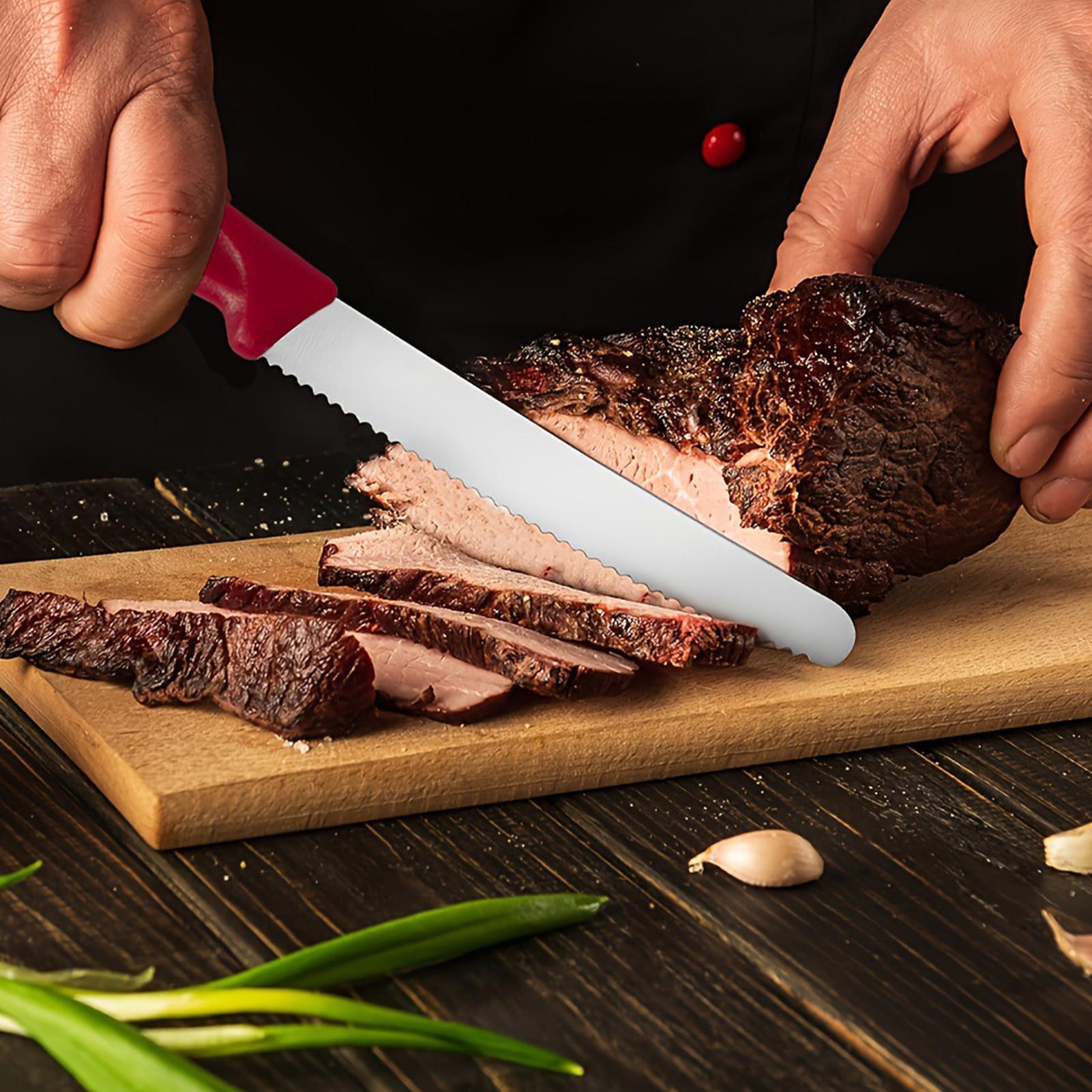 Serrated Steak Cutter 5 Pieces - Meal Prep Cutting ulasan dan harga