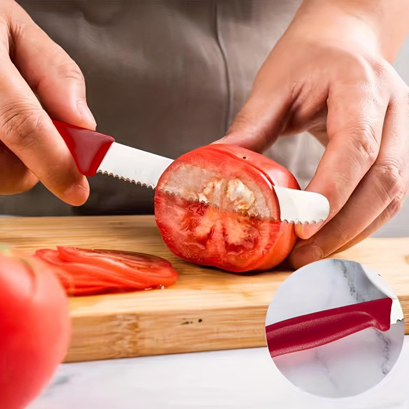 Serrated Steak Cutter 5 Pieces - Meal Prep Cutting ulasan dan harga